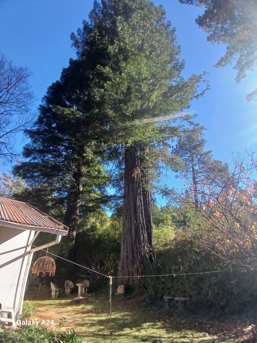 Commercial Property for Sale in Hogsback Eastern Cape